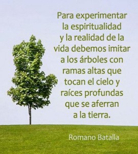 equilibrio