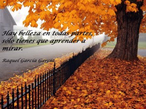 naturaleza-1-fondos-de-pantalla-con mi frase